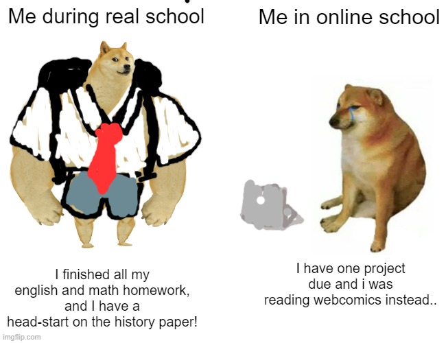 Online school | Me during real school; Me in online school; I finished all my english and math homework, and I have a head-start on the history paper! I have one project due and i was reading webcomics instead.. | image tagged in memes,buff doge vs cheems,online school | made w/ Imgflip meme maker