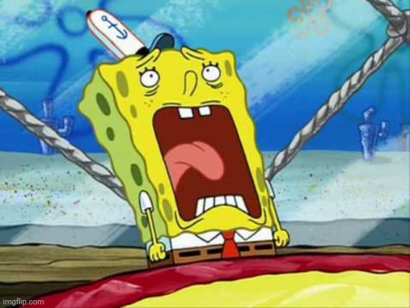 SOILED IT | image tagged in soiled it | made w/ Imgflip meme maker