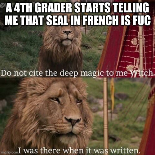 Narnia Meme | A 4TH GRADER STARTS TELLING ME THAT SEAL IN FRENCH IS FUC | image tagged in narnia meme | made w/ Imgflip meme maker