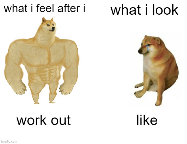 Buff Doge vs. Cheems Meme | what i feel after i; what i look; work out; like | image tagged in memes,buff doge vs cheems | made w/ Imgflip meme maker