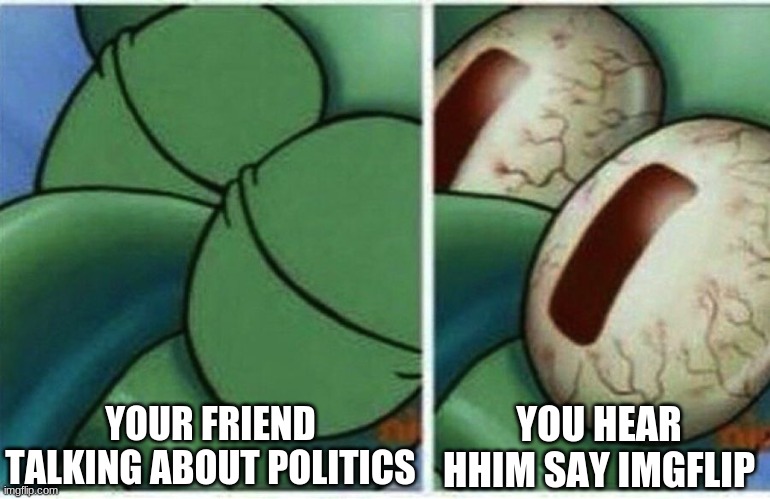 Squidward | YOUR FRIEND TALKING ABOUT POLITICS; YOU HEAR HIM SAY IMGFLIP | image tagged in squidward | made w/ Imgflip meme maker