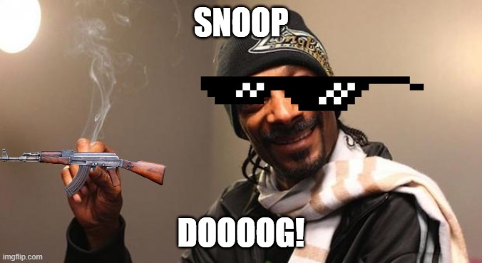 soooooooooop | SNOOP; DOOOOG! | image tagged in snoop dogg | made w/ Imgflip meme maker