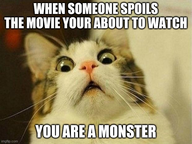 When someone spoils the movie your about to watch | WHEN SOMEONE SPOILS THE MOVIE YOUR ABOUT TO WATCH; YOU ARE A MONSTER | image tagged in memes,scared cat | made w/ Imgflip meme maker