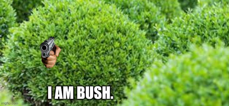 Me if I was in hunger games | I AM BUSH. | image tagged in hunger games | made w/ Imgflip meme maker