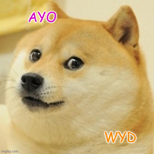 doge ayo | AYO; WYD | image tagged in memes,doge | made w/ Imgflip meme maker