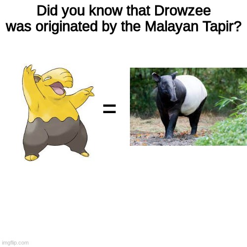 Pokedex #096 | Did you know that Drowzee was originated by the Malayan Tapir? = | image tagged in memes,blank transparent square,pokemon | made w/ Imgflip meme maker