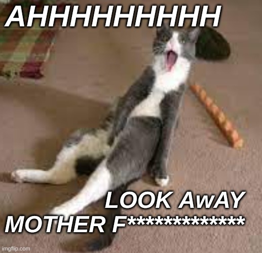 LOK AWAY | AHHHHHHHHH; LOOK AwAY MOTHER F************* | image tagged in funny cats,funny cat memes,i love cats | made w/ Imgflip meme maker