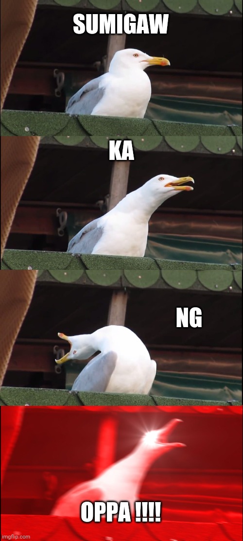 Inhaling Seagull Meme | SUMIGAW; KA; NG; OPPA !!!! | image tagged in memes,inhaling seagull | made w/ Imgflip meme maker