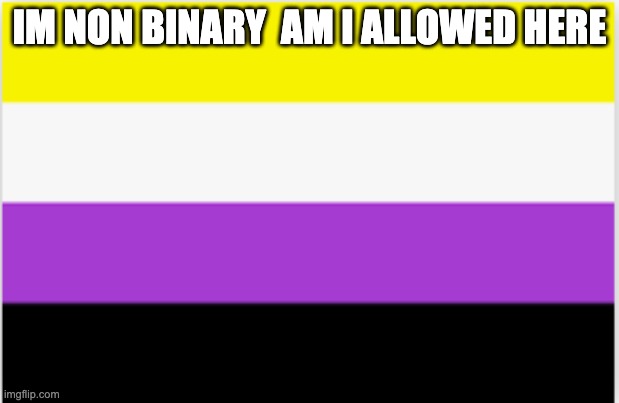 non binary flag | IM NON BINARY  AM I ALLOWED HERE | image tagged in non binary flag | made w/ Imgflip meme maker