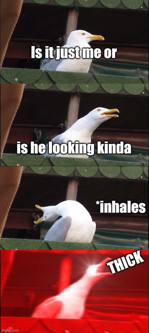 Inhaling Seagull |  Is it just me or; is he looking kinda; *inhales; THICK | image tagged in memes,inhaling seagull | made w/ Imgflip meme maker