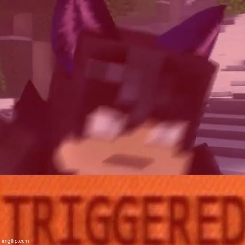 Ein triggered | image tagged in ein triggered | made w/ Imgflip meme maker