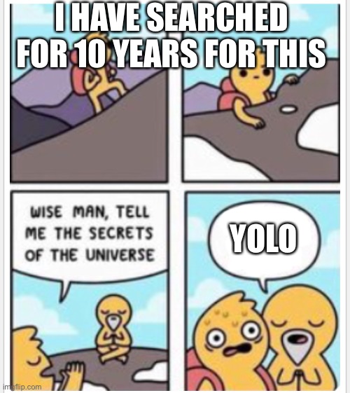 Yolo(you only live once) | I HAVE SEARCHED FOR 10 YEARS FOR THIS; YOLO | image tagged in fun | made w/ Imgflip meme maker