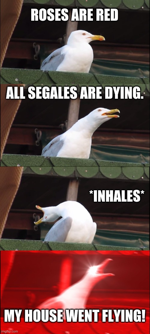 Inhaling Seagull | ROSES ARE RED; ALL SEGALES ARE DYING. *INHALES*; MY HOUSE WENT FLYING! | image tagged in memes,inhaling seagull | made w/ Imgflip meme maker