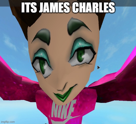 roblox james charles glitch | ITS JAMES CHARLES | image tagged in roblox james charles glitch | made w/ Imgflip meme maker