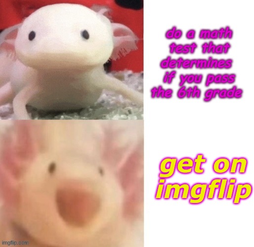 y u h | do a math test that determines  if you pass the 6th grade; get on imgflip | image tagged in aloxil | made w/ Imgflip meme maker