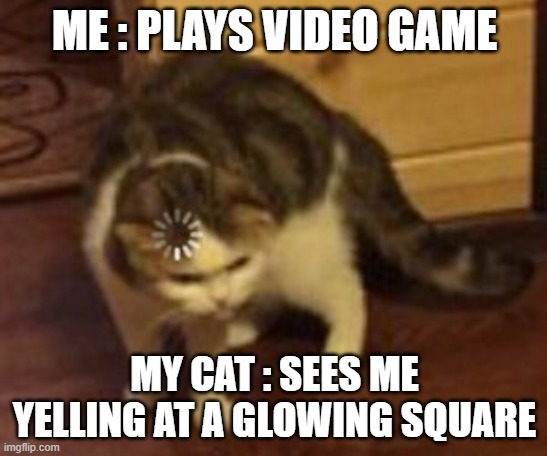 Her Comprehension | ME : PLAYS VIDEO GAME; MY CAT : SEES ME YELLING AT A GLOWING SQUARE | image tagged in loading cat | made w/ Imgflip meme maker