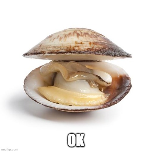 clam | OK | image tagged in clam | made w/ Imgflip meme maker