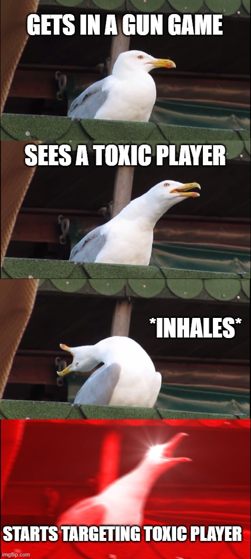 Inhaling Seagull | GETS IN A GUN GAME; SEES A TOXIC PLAYER; *INHALES*; STARTS TARGETING TOXIC PLAYER | image tagged in memes,inhaling seagull | made w/ Imgflip meme maker