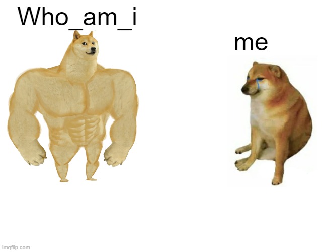 oniikz | Who_am_i; me | image tagged in memes,buff doge vs cheems,lol,funny memes,who_am_i | made w/ Imgflip meme maker