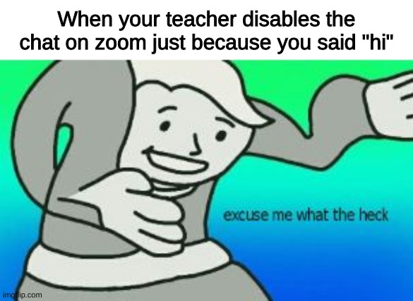 But seriously, why????? | When your teacher disables the chat on zoom just because you said "hi" | image tagged in excuse me what the heck,oof moment,online school,zoom,disable chat,whyyy | made w/ Imgflip meme maker