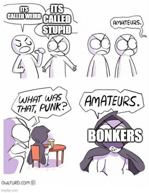 Amateurs | ITS CALLED STUPID; ITS CALLED WEIRD; BONKERS | image tagged in amateurs | made w/ Imgflip meme maker