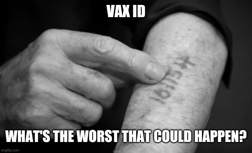 Politics and stuff | VAX ID; WHAT'S THE WORST THAT COULD HAPPEN? | image tagged in funny memes | made w/ Imgflip meme maker