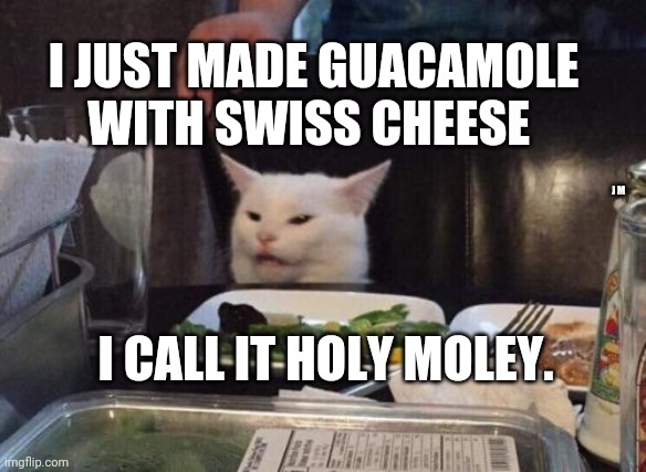 Salad cat | I JUST MADE GUACAMOLE WITH SWISS CHEESE; J M; I CALL IT HOLY MOLEY. | image tagged in salad cat | made w/ Imgflip meme maker