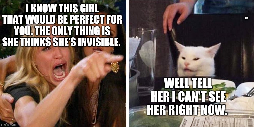 Smudge the cat | I KNOW THIS GIRL THAT WOULD BE PERFECT FOR YOU. THE ONLY THING IS SHE THINKS SHE'S INVISIBLE. J M; WELL TELL HER I CAN'T SEE HER RIGHT NOW. | image tagged in smudge the cat | made w/ Imgflip meme maker