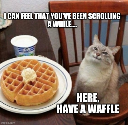 Have a waffle -w- | I CAN FEEL THAT YOU'VE BEEN SCROLLING
A WHILE.... HERE, HAVE A WAFFLE | image tagged in cat likes their waffle,cats,adorbable,cuteness,waffles | made w/ Imgflip meme maker