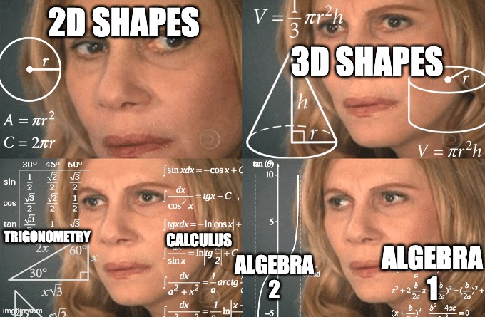Calculus girl | 2D SHAPES 3D SHAPES TRIGONOMETRY CALCULUS ALGEBRA 2 ALGEBRA 1 | image tagged in calculus girl | made w/ Imgflip meme maker
