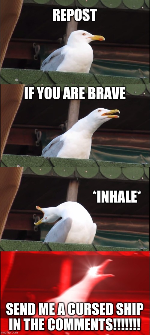 Hehe Trend Go Brrrrrrrrrr | REPOST; IF YOU ARE BRAVE; *INHALE*; SEND ME A CURSED SHIP IN THE COMMENTS!!!!!!! | image tagged in memes,inhaling seagull | made w/ Imgflip meme maker