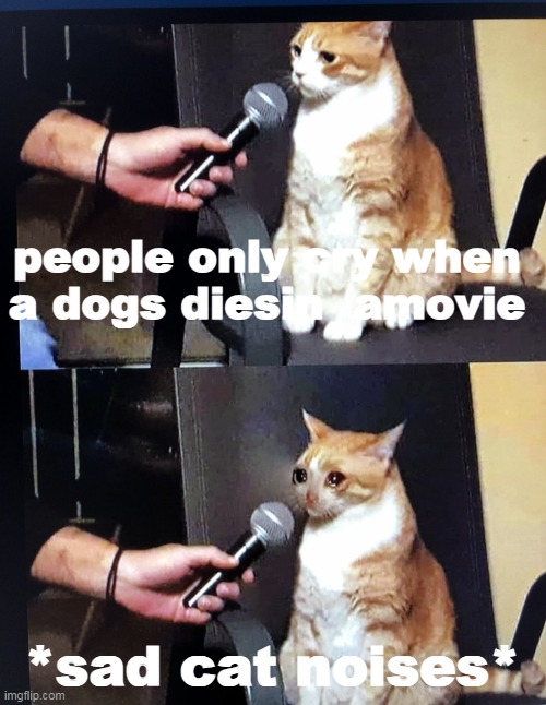 GIVE THEM SOME LOVE | people only cry when a dogs diesin  amovie; *sad cat noises* | image tagged in cat cry,cats,memes,cat memes,movies | made w/ Imgflip meme maker