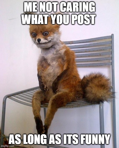 Stoned Fox | ME NOT CARING WHAT YOU POST; AS LONG AS ITS FUNNY | image tagged in stoned fox | made w/ Imgflip meme maker