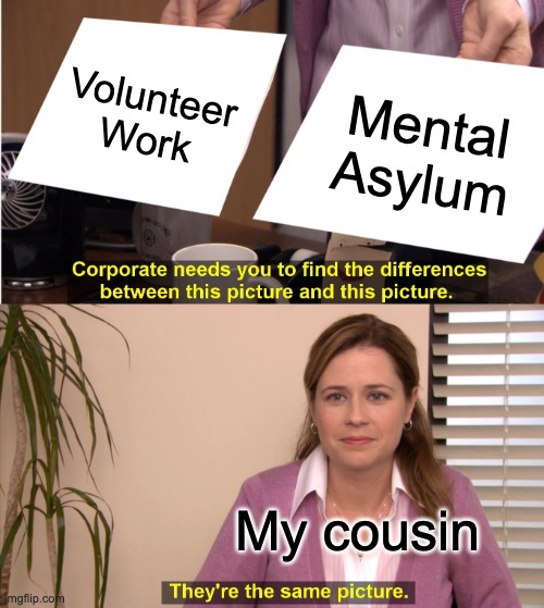 They're The Same Picture | Volunteer Work; Mental Asylum; My cousin | image tagged in memes,they're the same picture | made w/ Imgflip meme maker