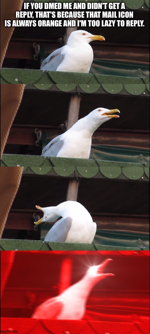 Inhaling Seagull | IF YOU DMED ME AND DIDN'T GET A REPLY, THAT'S BECAUSE THAT MAIL ICON IS ALWAYS ORANGE AND I'M TOO LAZY TO REPLY. | image tagged in memes,inhaling seagull | made w/ Imgflip meme maker