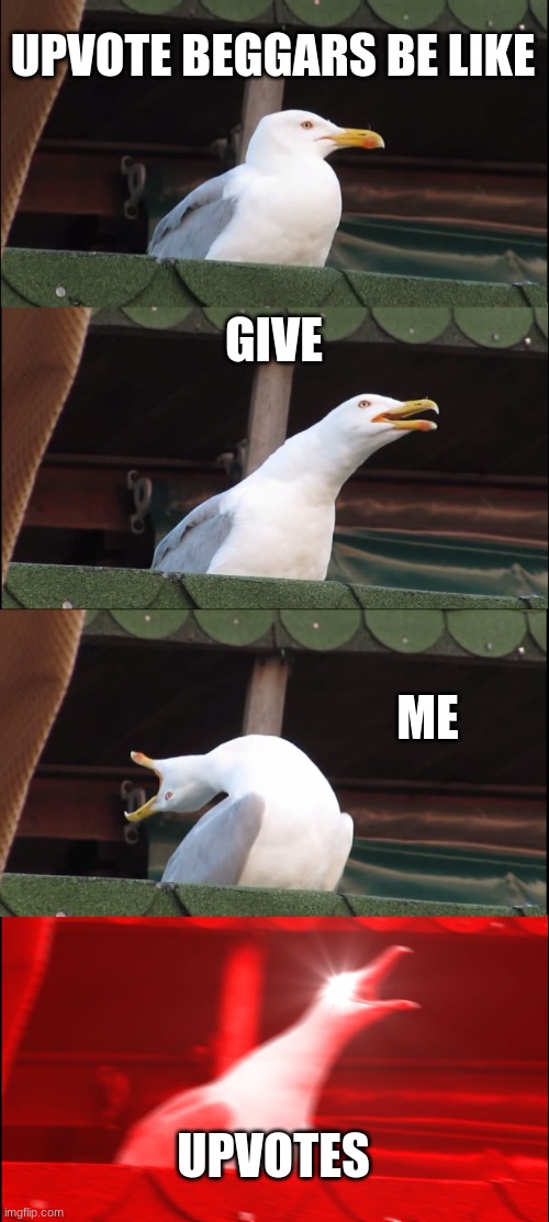 We all hate them | UPVOTE BEGGARS BE LIKE; GIVE; ME; UPVOTES | image tagged in memes,inhaling seagull,funny,upvote beggars | made w/ Imgflip meme maker