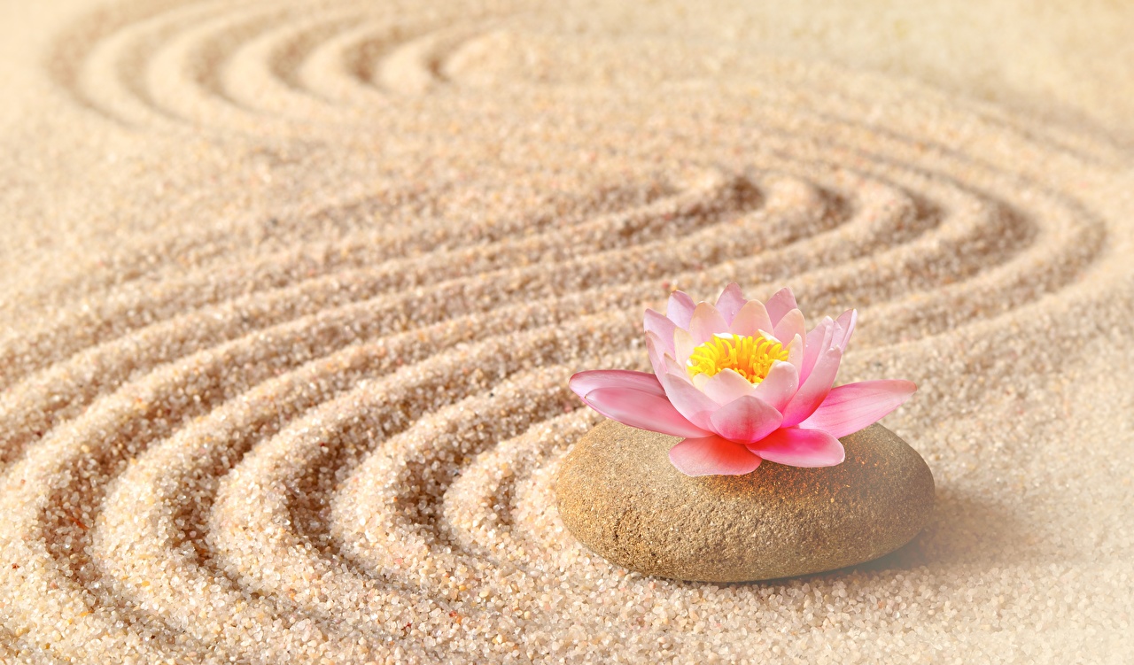 Zen Sand Garden & Lotus Flower Blank Meme Template