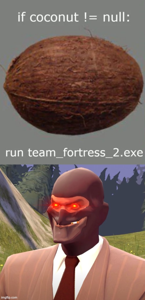 coconut | image tagged in teamfortress,games,gaming,coconut,exe,idk | made w/ Imgflip meme maker