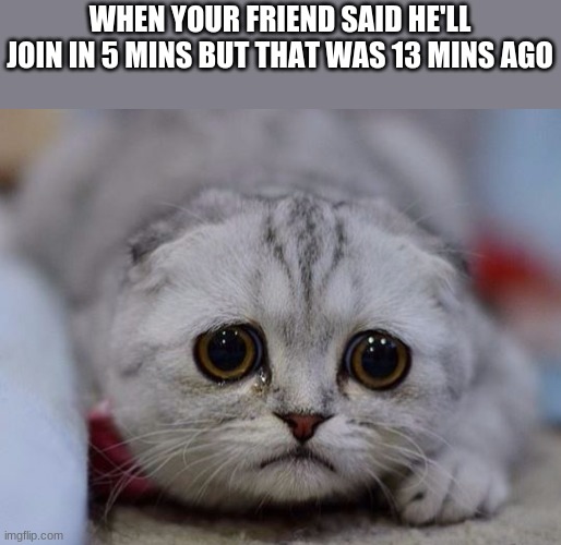 Sad | WHEN YOUR FRIEND SAID HE'LL JOIN IN 5 MINS BUT THAT WAS 13 MINS AGO | image tagged in sad kitty | made w/ Imgflip meme maker