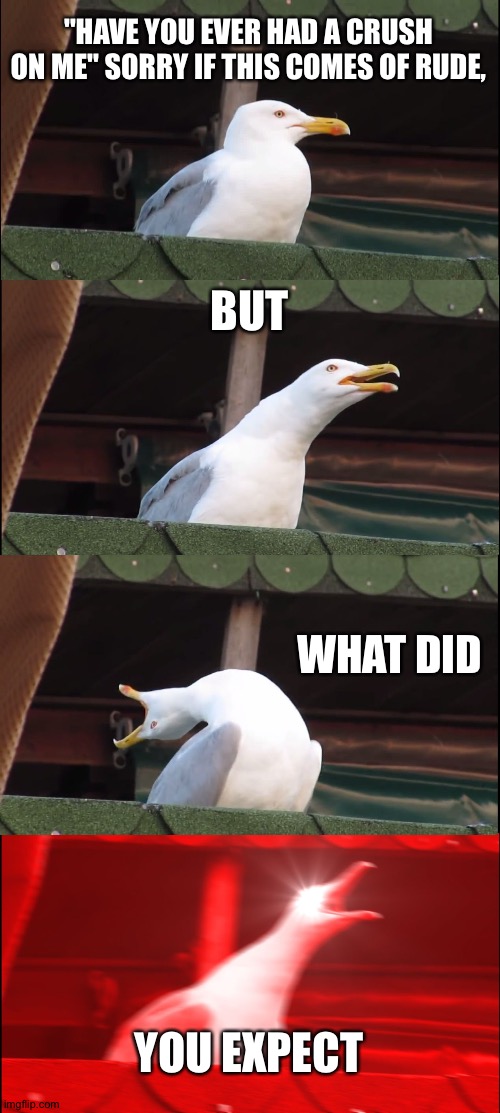 Inhaling Seagull | "HAVE YOU EVER HAD A CRUSH ON ME" SORRY IF THIS COMES OF RUDE, BUT; WHAT DID; YOU EXPECT | image tagged in memes,inhaling seagull | made w/ Imgflip meme maker