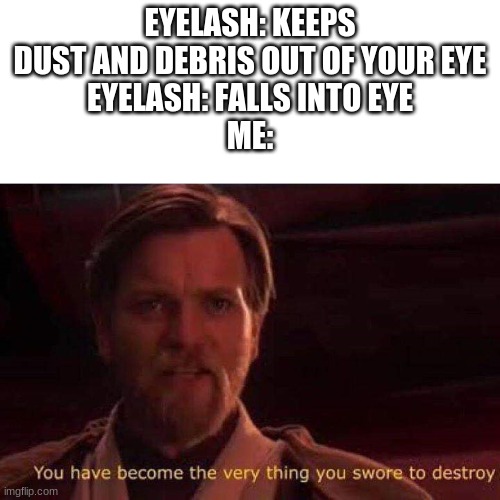 You've betrayed me | EYELASH: KEEPS DUST AND DEBRIS OUT OF YOUR EYE
EYELASH: FALLS INTO EYE
ME: | image tagged in you have become the very thing you swore to destroy | made w/ Imgflip meme maker