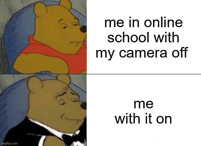 rags to riches | me in online school with my camera off; me with it on | image tagged in memes,tuxedo winnie the pooh | made w/ Imgflip meme maker
