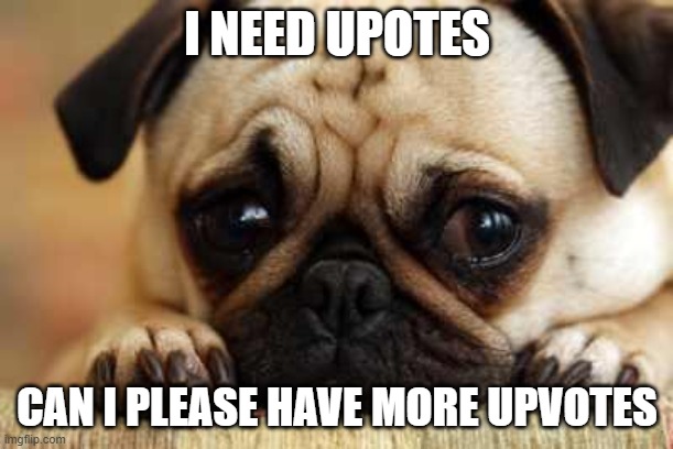 Sad Dog |  I NEED UPOTES; CAN I PLEASE HAVE MORE UPVOTES | image tagged in sad dog | made w/ Imgflip meme maker
