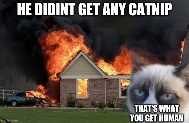 Make sure to feed your cat. | HE DIDINT GET ANY CATNIP; THAT'S WHAT YOU GET HUMAN | image tagged in memes,burn kitty,grumpy cat | made w/ Imgflip meme maker