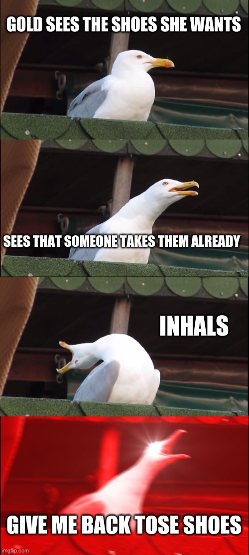 golds mall trip | GOLD SEES THE SHOES SHE WANTS; SEES THAT SOMEONE TAKES THEM ALREADY; INHALS; GIVE ME BACK TOSE SHOES | image tagged in memes,inhaling seagull | made w/ Imgflip meme maker