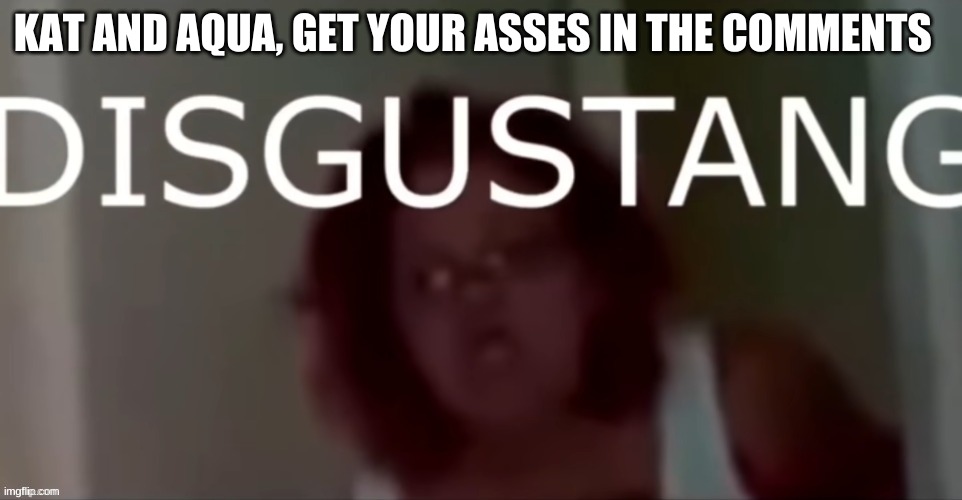 NOW | KAT AND AQUA, GET YOUR ASSES IN THE COMMENTS | image tagged in disgustang | made w/ Imgflip meme maker