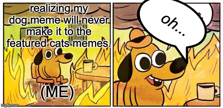 This Is Fine | realizing my dog meme will never make it to the featured cats memes. oh... (ME) | image tagged in memes,this is fine | made w/ Imgflip meme maker