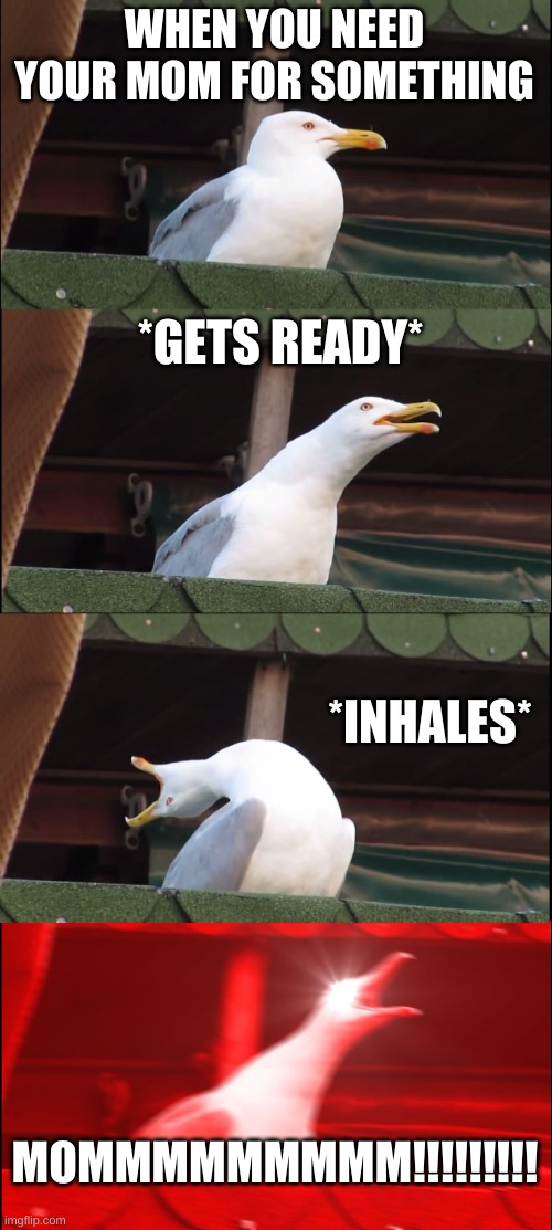 Inhaling Seagull Meme | WHEN YOU NEED YOUR MOM FOR SOMETHING; *GETS READY*; *INHALES*; MOMMMMMMMMM!!!!!!!!! | image tagged in memes,inhaling seagull | made w/ Imgflip meme maker