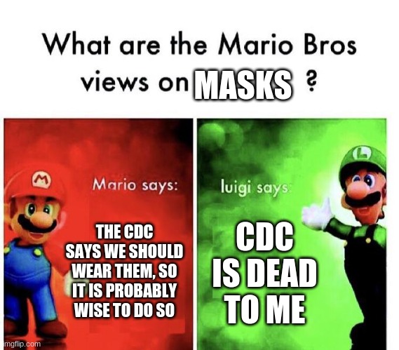 Mario Bros Views | MASKS; THE CDC SAYS WE SHOULD WEAR THEM, SO IT IS PROBABLY WISE TO DO SO; CDC IS DEAD TO ME | image tagged in mario bros views | made w/ Imgflip meme maker