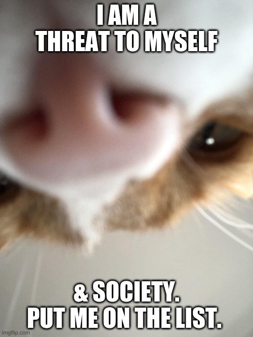 listen to him | I AM A THREAT TO MYSELF; & SOCIETY. PUT ME ON THE LIST. | image tagged in cat | made w/ Imgflip meme maker